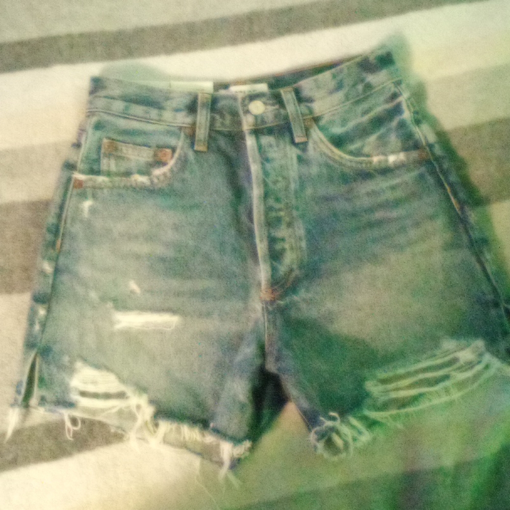 AGOLDE Jean Short- 24